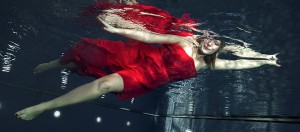 MG 3267 UW SIFI Artikelbild 300x132  MG 3267 unterwasser krohn Artikelbild